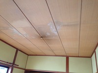 天井塗装